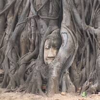 Ayutthaya, Wat Mahathat