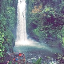 La Paz Waterfall Garden