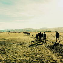 Tramping