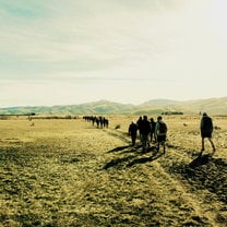 Tramping