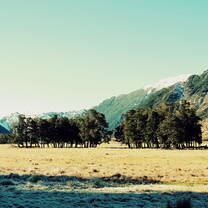 Tramping
