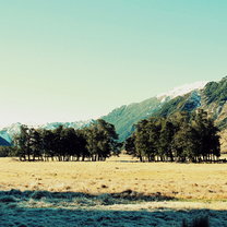 Tramping