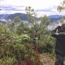 Nyungwe Forest