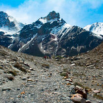 fitz roy