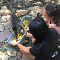 Bush Babies Monkey Sanctuary 