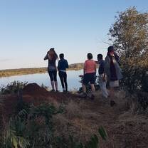 Tracking, seeking, viewing, watching, learning, safari