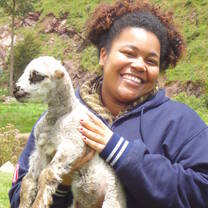 Cusco Huilcapata Peru Animal Rights