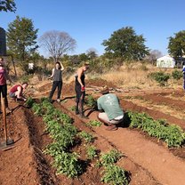 Gardening, Volunteering, Primary School, Masuwe