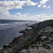 Rottnest Island