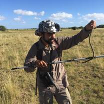Snake