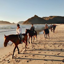 horseback riding group pic