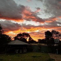 backyard sunset