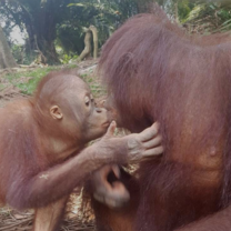 Son kiss mom