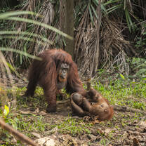 Mom and kid