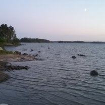 Shore of the Baltic sea in the Gulf of Finland.