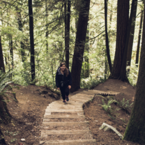 Person walking on path in forest