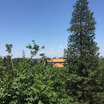Jing Shan Park