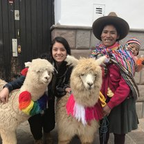 When in Cusco, you have to take a photo with the llamas