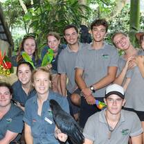 Volunteer Team