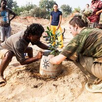 Tree Planting Planting a tree