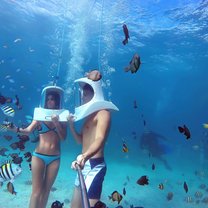 Ocean Walking-what else to say ;)