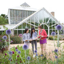 Botanical Gardens in Cambridge 