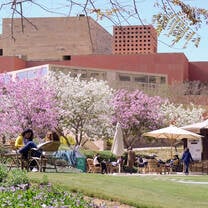 AUC Gardens