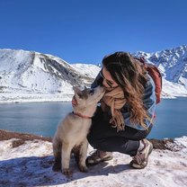 Cajon Del Maipo - Day trip