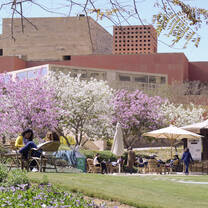 AUC Gardens