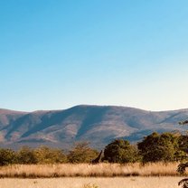 South Africa Loop Abroad