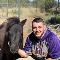 Pony