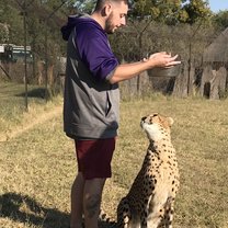 Feeding