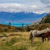 Coyhaique, Chile