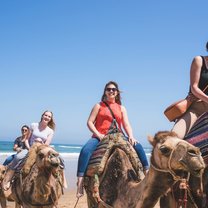 Camel ride in Morocco!