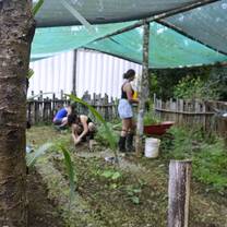 Gardening