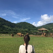 Elephant Nature Park 