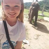 Elephants! 