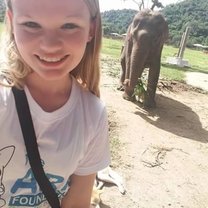 Elephants! 