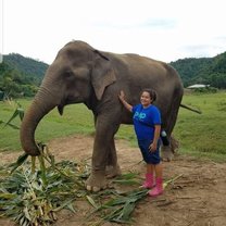 The elephant I worked with at ENP