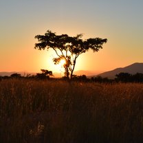 African Sunset