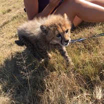 Ambassador in training 