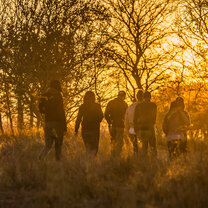 African Big 5 and Wildlife Conservation in South Africa