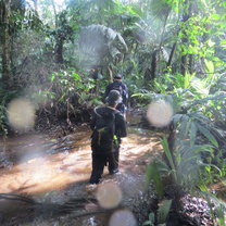 Biodiversity Surveys