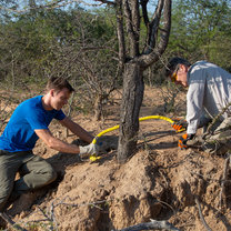 Erosion work; helping nature to recover