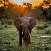 The beauty of South Africa
