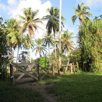 Entrance to base in the morning