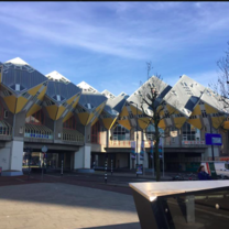 Rotterdam houses