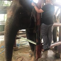 Laser Therapy with Aum Pan