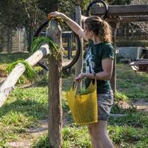 Volunteer at Laos Wildlife Sanctuary