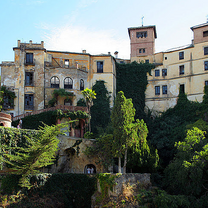 Environmental Garden Volunteering in Barcelona